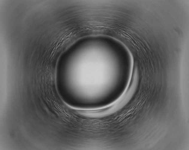 X0000113320916200909141352