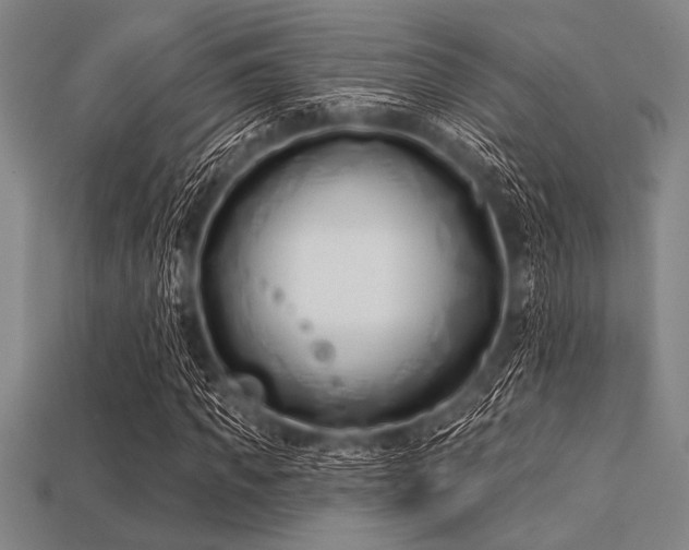 X0000113320917200909141352