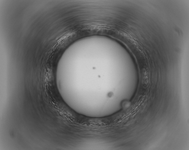 X0000113320918200909141352