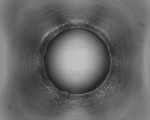 X0000113320919200909141352