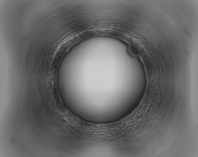 X0000113320920200909141352