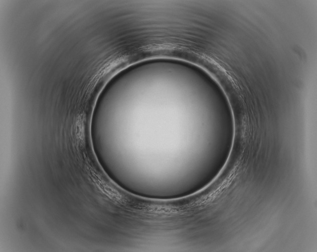 X0000113320921200909141352