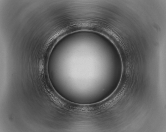 X0000113320922200909141352