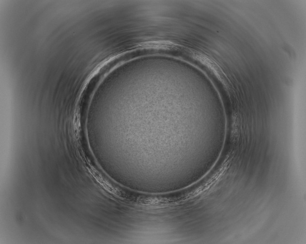 X0000113320923200909141352