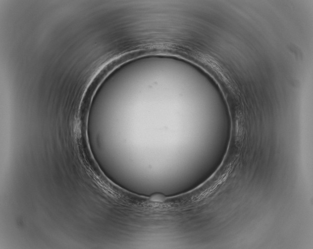 X0000113320924200909141352