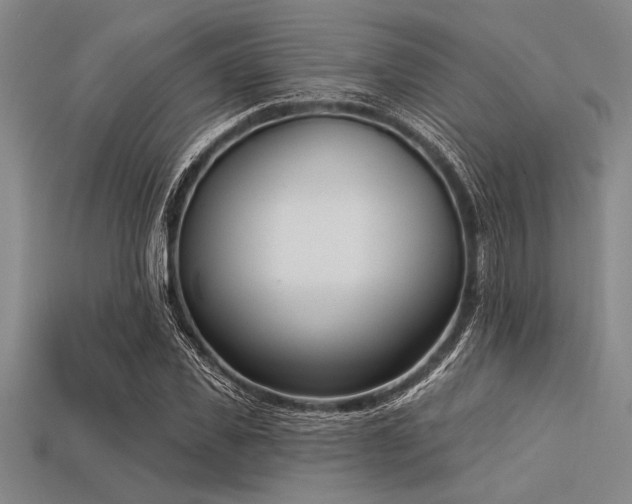 X0000113320925200909141352