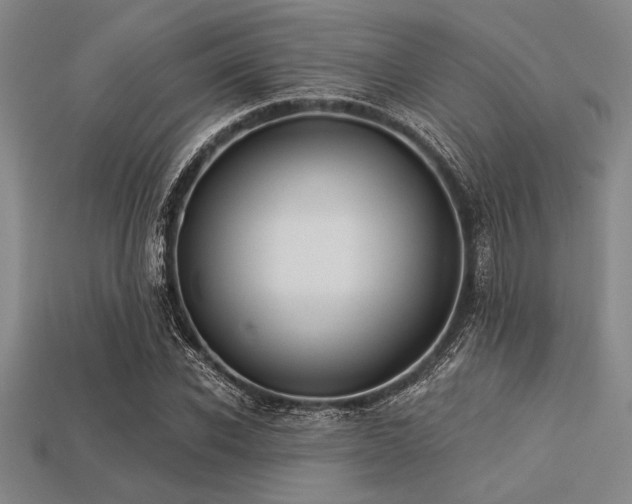 X0000113320926200909141352