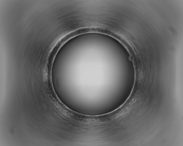 X0000113320927200909141352