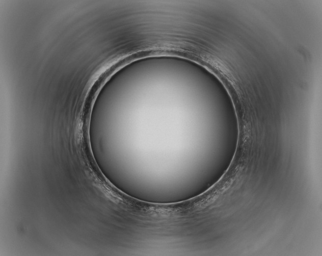 X0000113320928200909141352