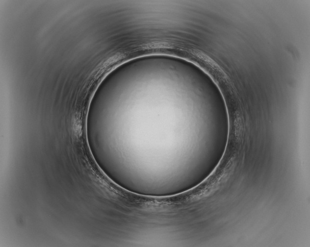 X0000113320929200909141352