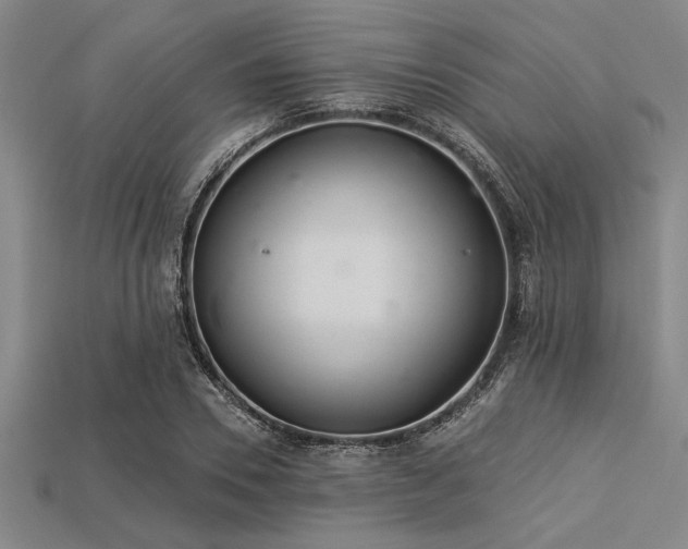 X0000113320930200909141352