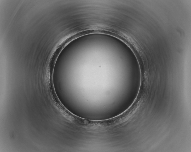 X0000113320931200909141352