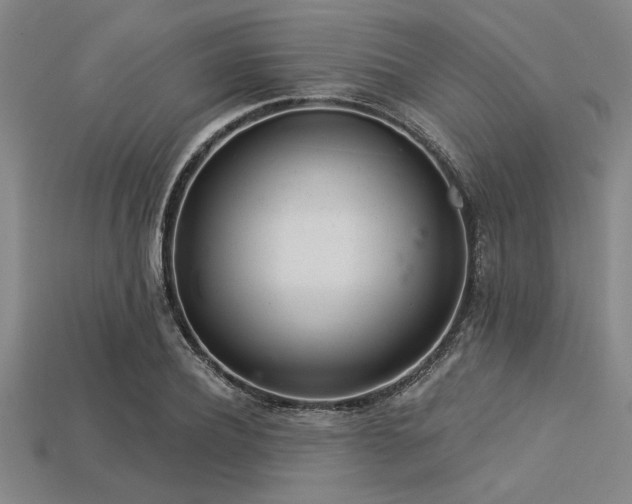 X0000113320932200909141352