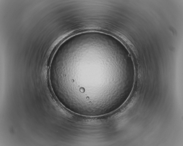 X0000113320933200909141352