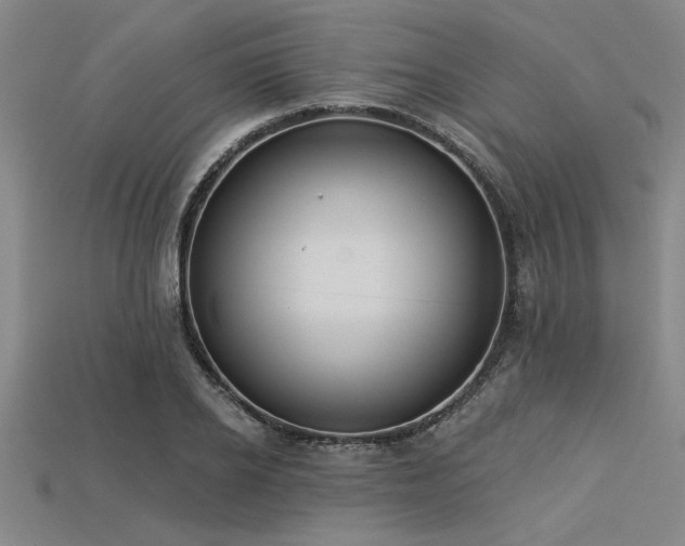 X0000113320934200909141352