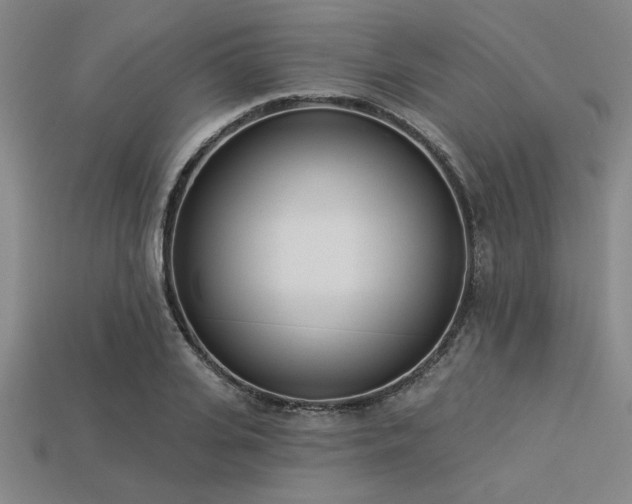 X0000113320935200909141352