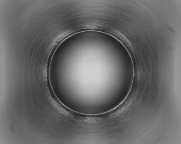 X0000113320938200909141352