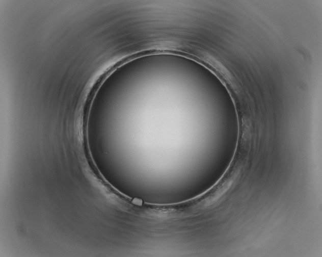 X0000113320939200909141352