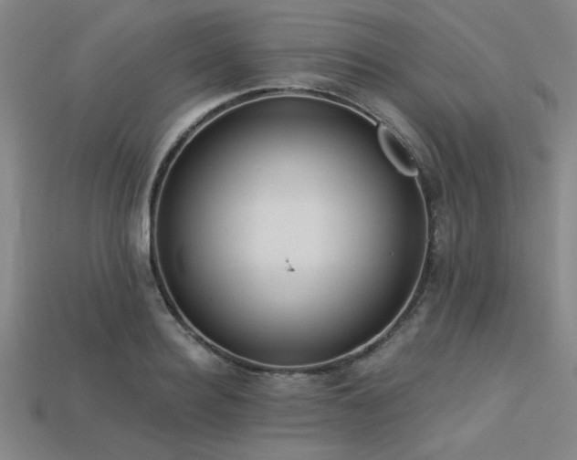 X0000113320940200909141352