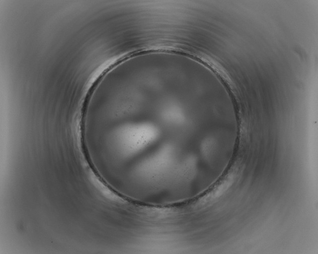 X0000113320941200909141352