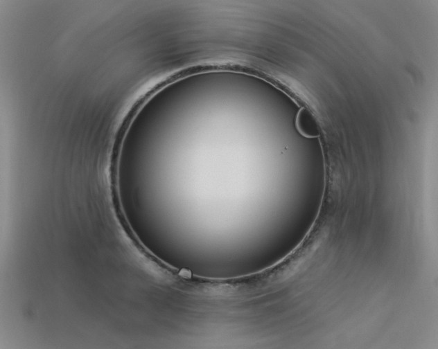 X0000113320943200909141352