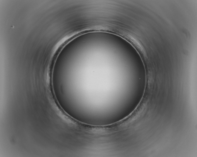 X0000113320944200909141352