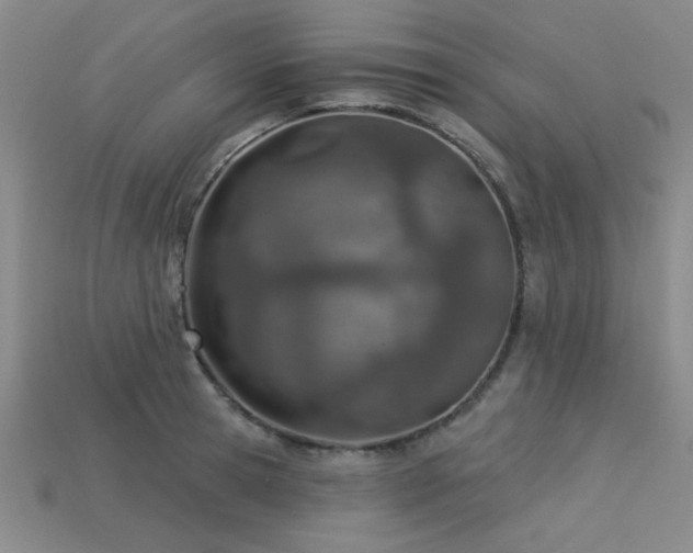 X0000113320945200909141352