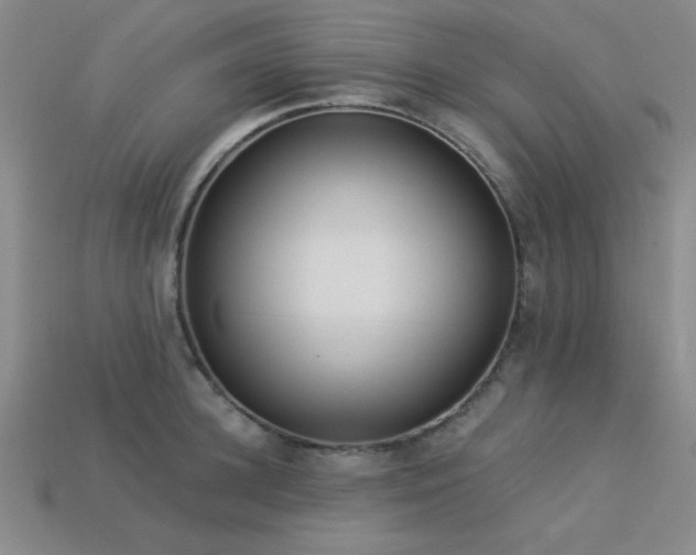 X0000113320948200909141352