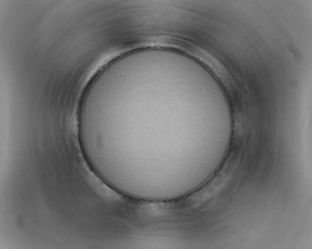 X0000113320950200909141352