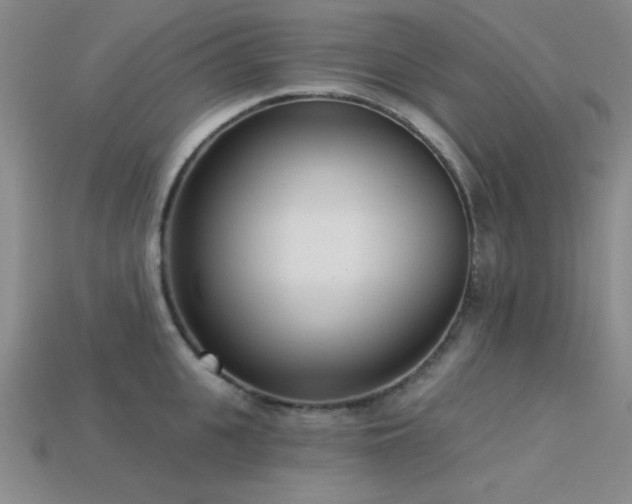 X0000113320951200909141352