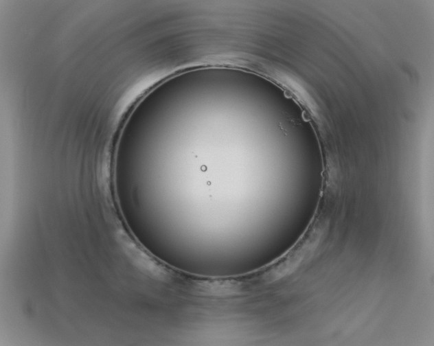 X0000113320952200909141352