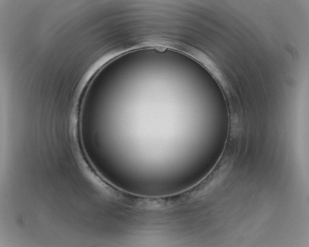 X0000113320955200909141352