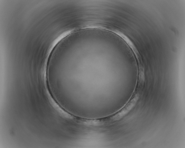 X0000113320957200909141352