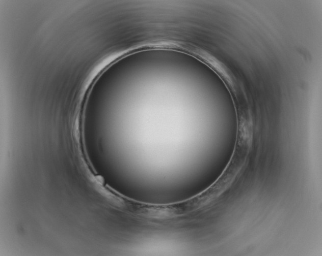 X0000113320959200909141352