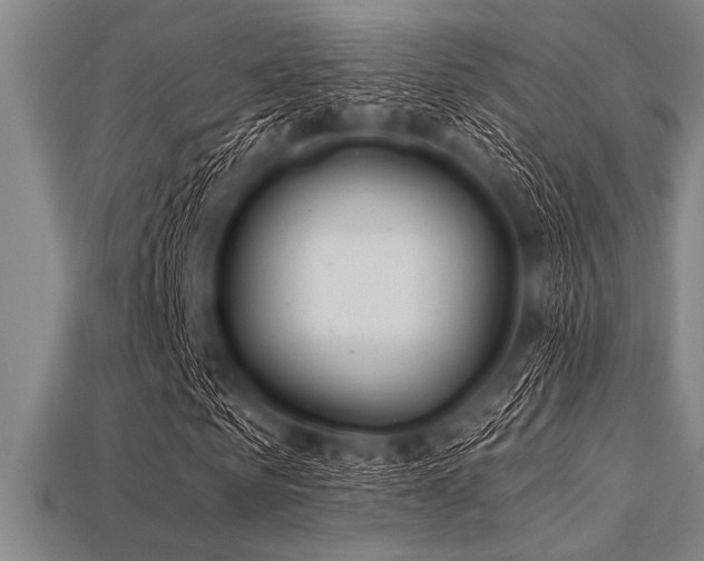 X0000113320961200909141352