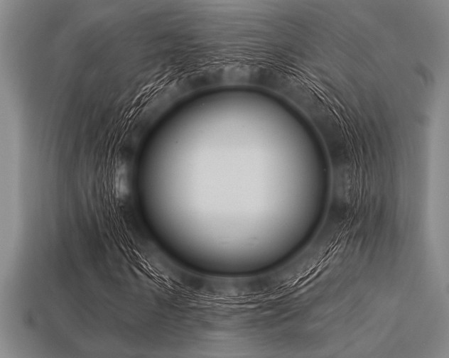 X0000113320962200909141352