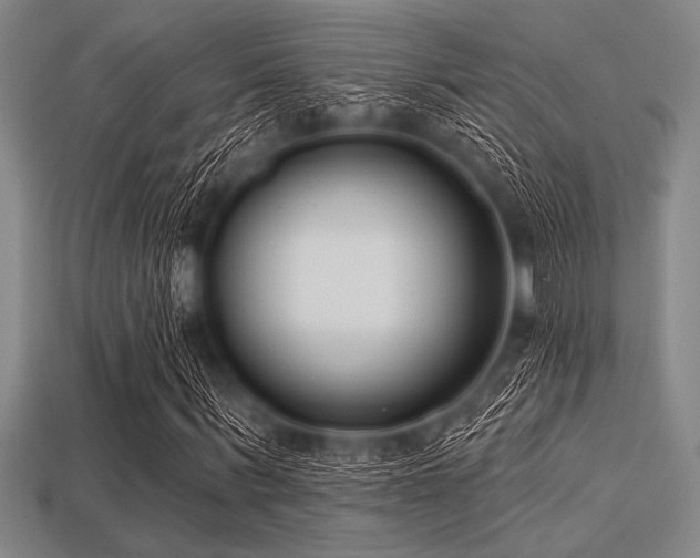 X0000113320963200909141352