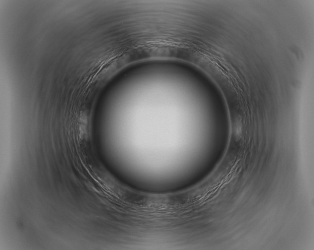 X0000113320964200909141352