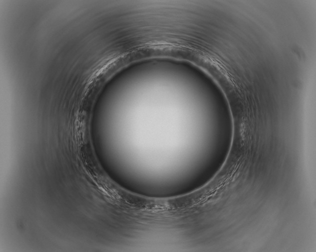 X0000113320968200909141351