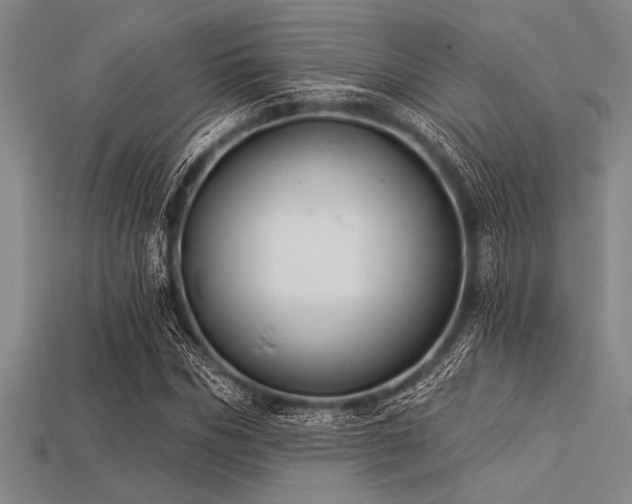 X0000113320970200909141351