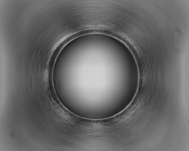 X0000113320975200909141351