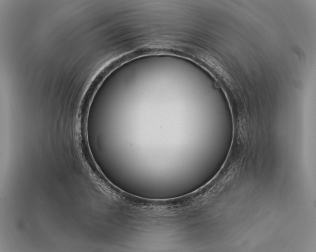 X0000113320976200909141351