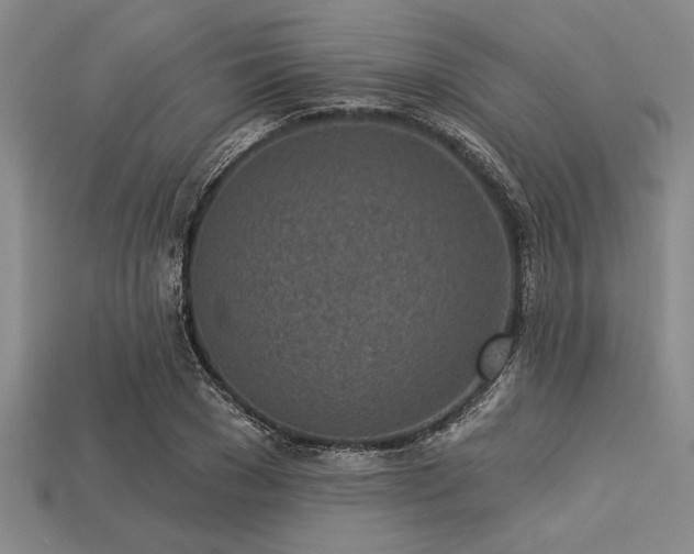 X0000113320977200909141351
