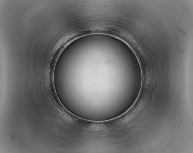 X0000113320978200909141351