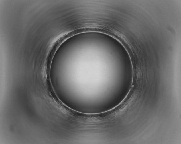 X0000113320979200909141351