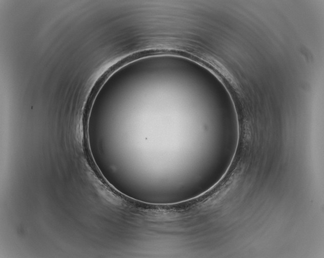 X0000113320980200909141351