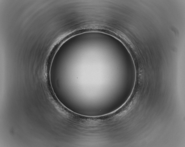 X0000113320981200909141351