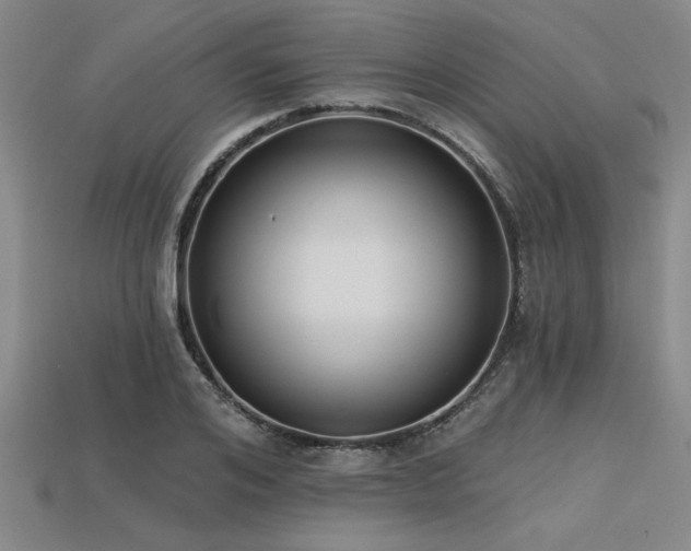 X0000113320984200909141351