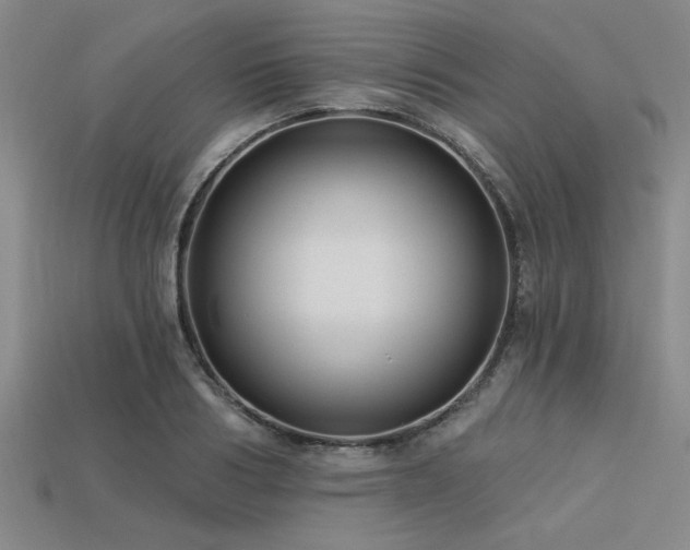 X0000113320986200909141351