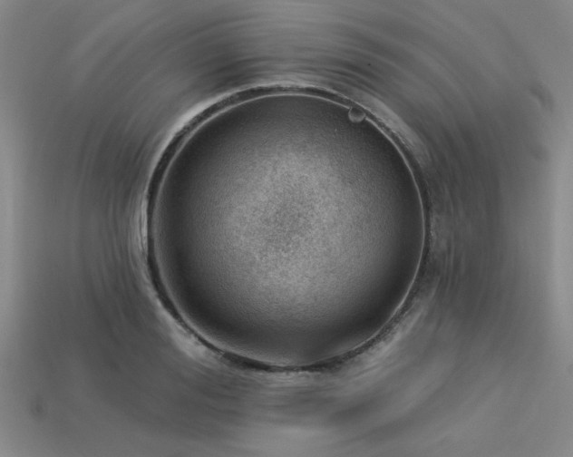X0000113320988200909141351